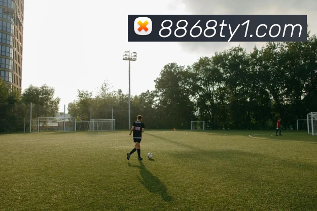 8868体育APP 封面图